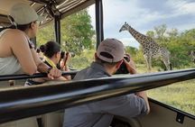 Kruger National Park Morning Safari 2 people minimum 