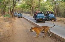 Private 5 Days Delhi Agra Jaipur Ranthambhore Tour From Delhi 