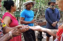 Amazon Arapiuns River Aruã Waterfall Tour
