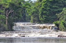 Amazon Arapiuns River Aruã Waterfall Tour