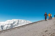 Mount Kilimanjaro 7 Days - Machame Route 