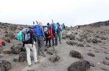 Mount Kilimanjaro 7 Days - Machame Route 