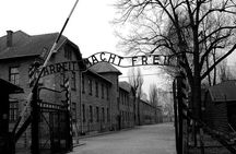 From Krakow: Auschwitz-Birkenau and Salt Mine with Private Transfer