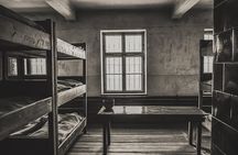 From Krakow: Auschwitz-Birkenau and Salt Mine with Private Transfer