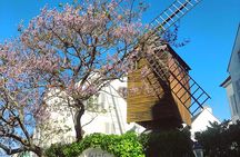 Fat Cat gets the Early Bird: Montmartre