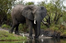 2 Hours Sunset Cruise along the Zambezi River