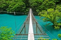 Port Pick-Up: Shizuoka Tour with Licensed Guide and Vehicle