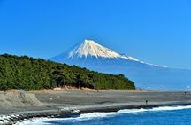 Shizuoka/Shimizu Mt Fuji View 6 hr Private Tour: Guide Only