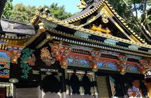 Shizuoka/Shimizu Mt Fuji View 6 hr Private Tour: Guide Only