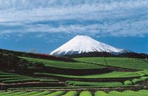 Shizuoka/Shimizu Mt Fuji View 6 hr Private Tour: Guide Only