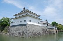 Shizuoka/Shimizu Mt Fuji View 6 hr Private Tour: Guide Only