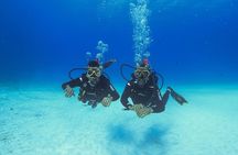 Basic Diver - Bautismo