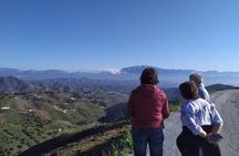 Axarquia VIP Wine Tour with Gourmet Winery Lunch Experience