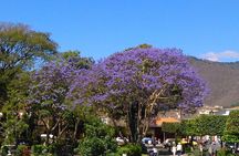 Antigua Walking Tour Morning and Afternoon