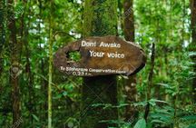 Sinharaja Rain Forest Guided Day Tour From Colombo and Negombo