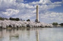 museum visit Us capitol City Tour Cruise cherry blossom 10 hours 