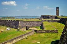 Mirissa Whale watching, Stilt Fishing & Turtle Tour From Colombo