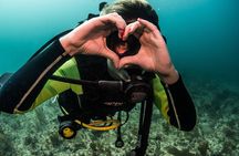 Local Dive in Playa del Carmen