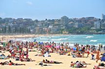 Half-Day or Full-Day Private Guide Hire From Sydney