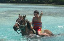 Beach Horseback Riding and Dunn’s River Falls 