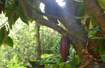 Isle of Spice Adventure Tour