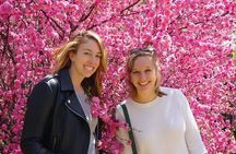 History and Culture Tour(Premium Private Tour)