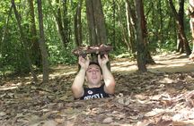 Black Virgin Mountain, Cao Dai Temple & Cu Chi Tunnels 1-day