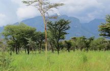 4 Days Sipi Falls and Pian-Upe national Park