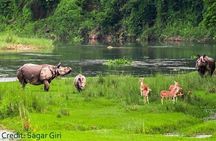 Thrilling Jungle Safari & White Water Rafting Expedition