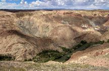 Private Day Tour to the Land of Canyons-UNESCO-of Kazakhstan