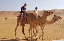 Overnight Desert Tour with Wadi Bani Khalid