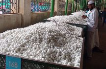 Story of Mysore Silk tour from Bangalore to experience Silk Weaving & Palace