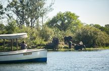 2-Hour Lunch Cruise on the Zambezi River