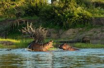 Sunset Cruise over Zambezi River from Victoria Falls