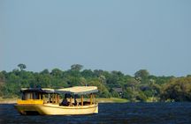 Birdwatching Cruise in Zambezi River with Breakfast 