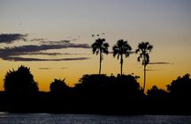 Birdwatching Cruise in Zambezi River with Breakfast 
