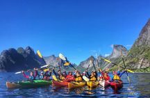 Kayaking in Reinefjorden 