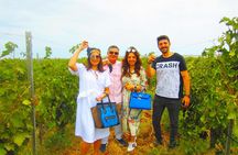 Wine Tour Baku