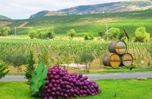 Organic Wine Tour Shamakhi with Local Lunch