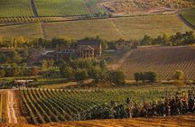 Organic Wine Tour Shamakhi with Local Lunch