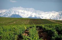 Wine Tour Ismayilli with Local Lunch