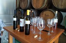 Axarquia VIP Wine Tour with Gourmet Winery Lunch Experience