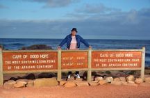 Half Day Boulders Penguins and Cape Point Small Group Tour