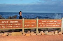 Half Day Boulders Penguins and Cape Point Small Group Tour
