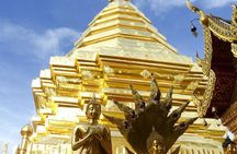 Royal Residence & Wat Phrathat Doi Suthep Half Day Tour From Chiang Mai