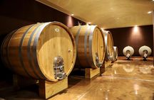 Lake Garda: Wine Tour & Tasting Experience in Bardolino area