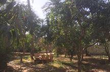 Farm-To-Table Tour With An Adventure To Bent & Red Pyramids 