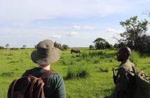 1 day Rhino tracking in Uganda (Ziwa Rhino Sanctuary