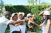 Private Visit to the Wineries Stellenbosch Franschoek from Cape Town Full Day