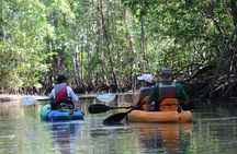 Damas Island Kayaking Mangrove Tour from Manuel Antonio